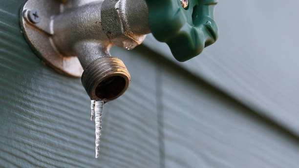 Best Leak Detection Services  in Erin, TN